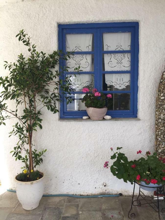 Villa Lula Nea Styra Exterior foto